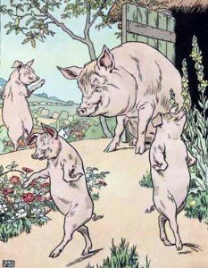 Mother sow with three little pigs