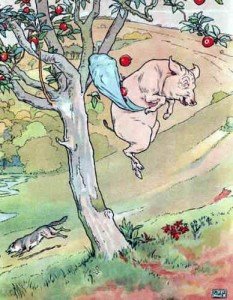 Pig with apples