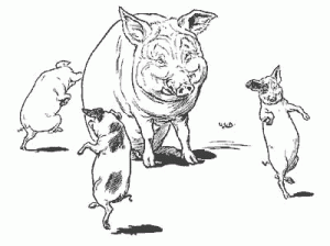 Dancing pigs