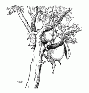 Pig in apple tree