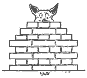 Third little pig