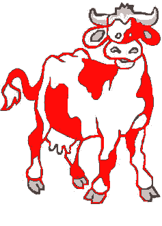 cgv-TheCow