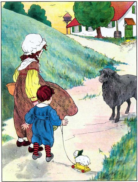 Baa Baa Black Sheep