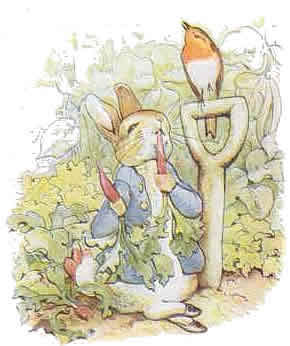 peterrabbit07