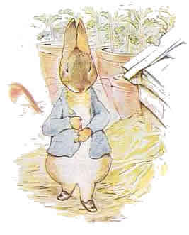 peterrabbit08