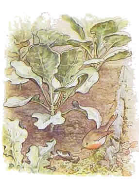 peterrabbit11