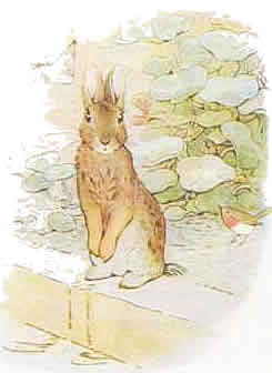 peterrabbit18