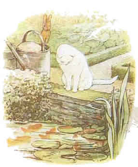 peterrabbit20