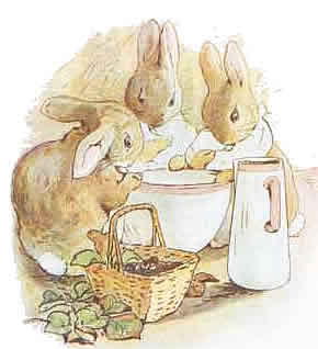 peterrabbit26