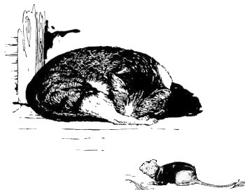 lrh-cat-rat-350