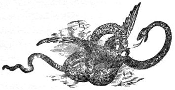 ts-11-04