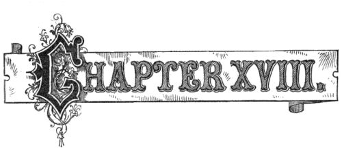 Chapter XVIII
