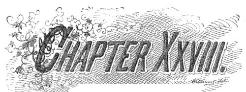 Chapter XXVIII