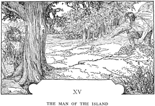 Chapter 15: The Man of the Island