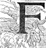 ti-c15-02-150