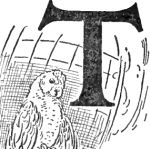 ti-c28-02-150