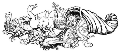 Cornucopia