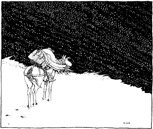 Snowstorm