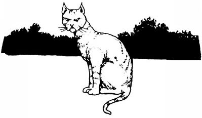 Puss