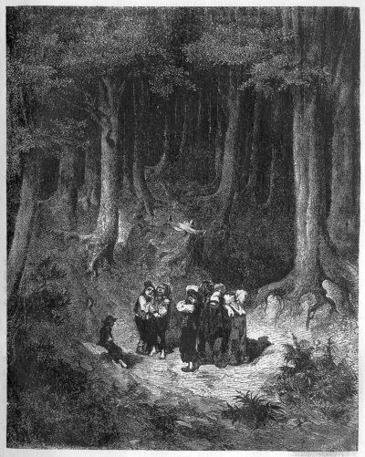 Lost in the woods