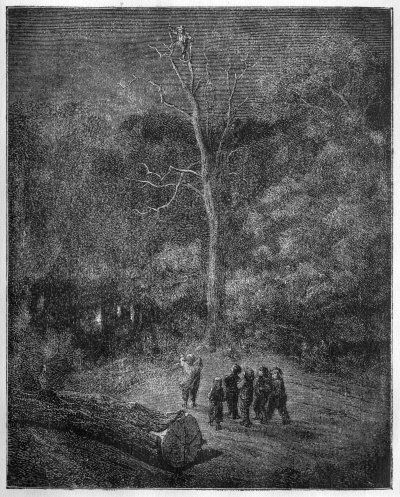 A light in the woods